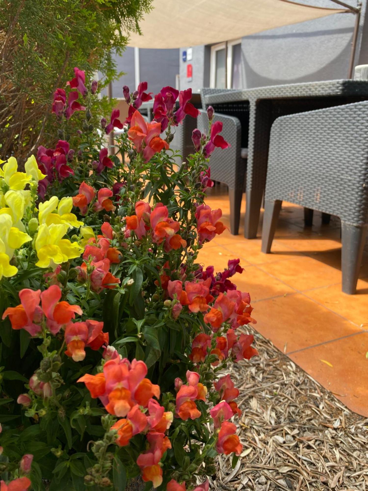 Contact Hotel LE SUD Montpellier Aéroport Parc Expo Arena Mauguio Extérieur photo